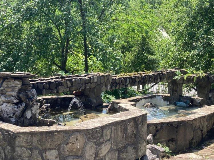 Самостоятелни Стаи В Къща За Гости Балкан Ribarica Εξωτερικό φωτογραφία