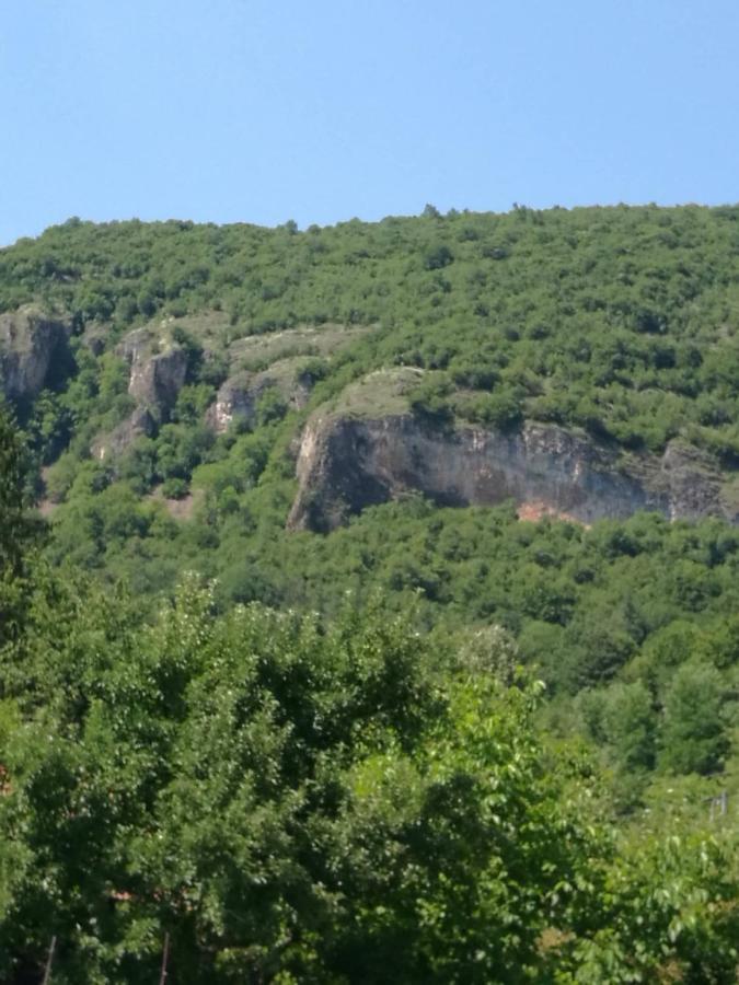 Самостоятелни Стаи В Къща За Гости Балкан Ribarica Εξωτερικό φωτογραφία